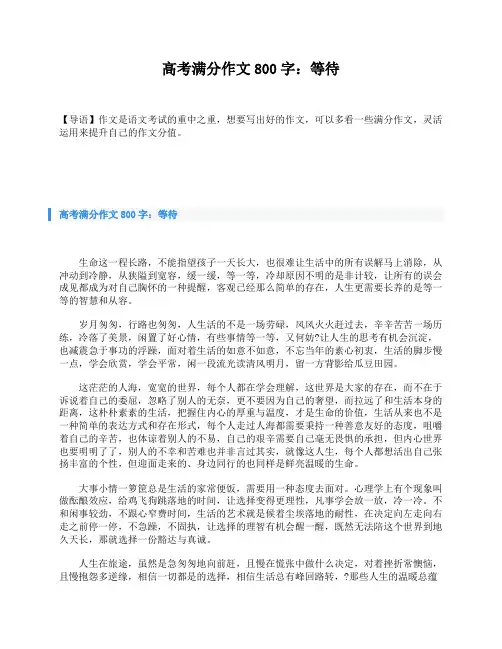 高考满分作文800字：等待