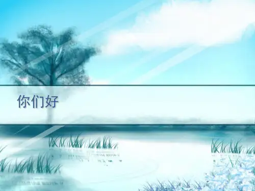 槭树科植物检索表 PPT