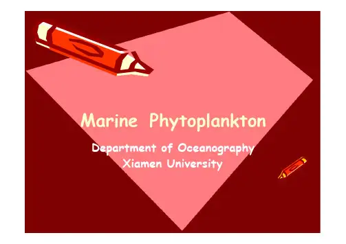 厦大海洋浮游生物学双语课件01海洋浮游植物：硅藻门