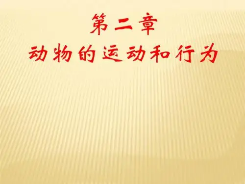 八年级生物上册 第二章 第一节 动物的运动课件 (新版)新人教版