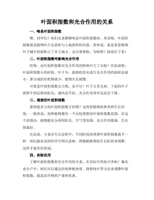 叶面积指数和光合作用的关系
