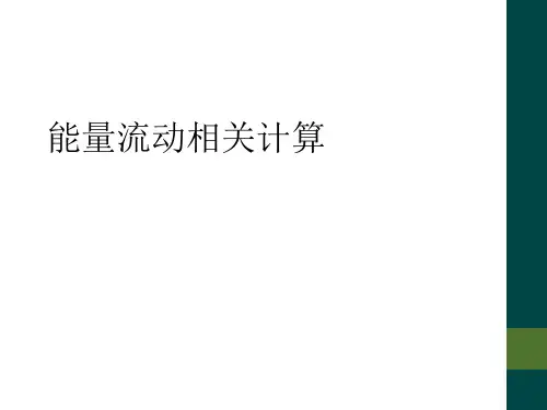 能量流动相关计算