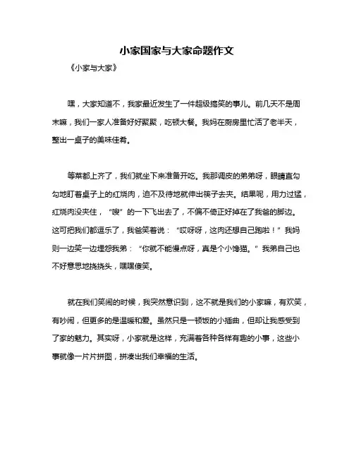 小家国家与大家命题作文