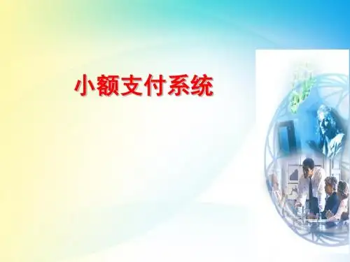 大小额支付系统[1]