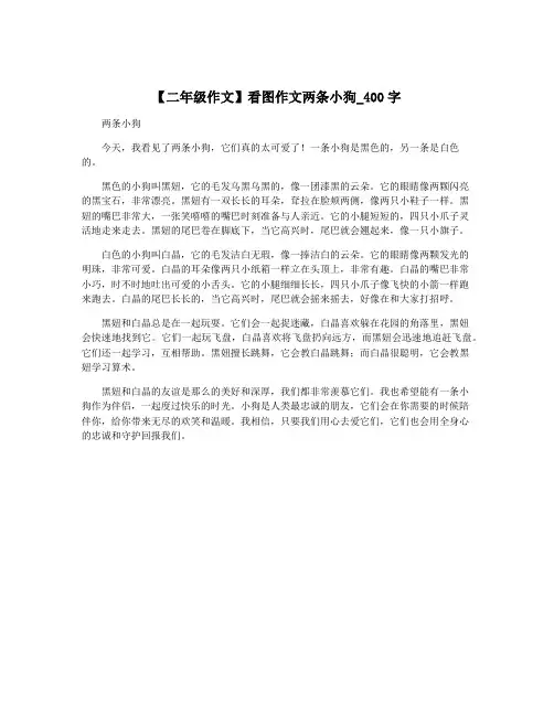 【二年级作文】看图作文两条小狗_400字