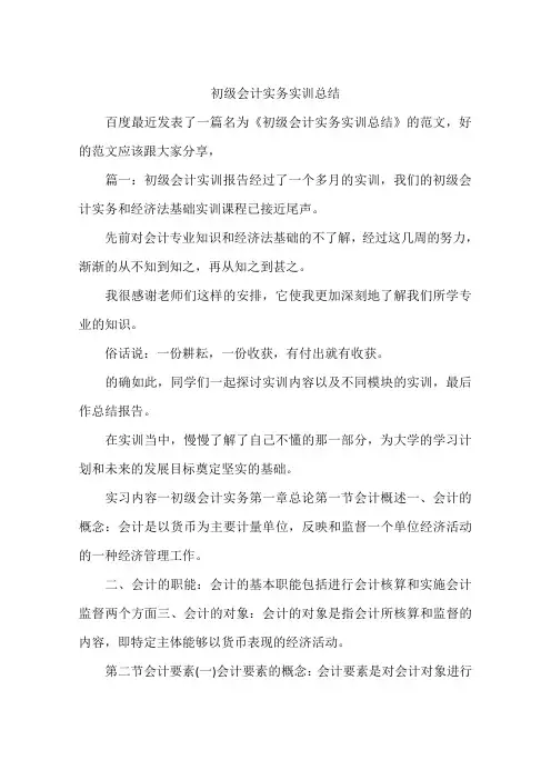 初级会计实务实训总结