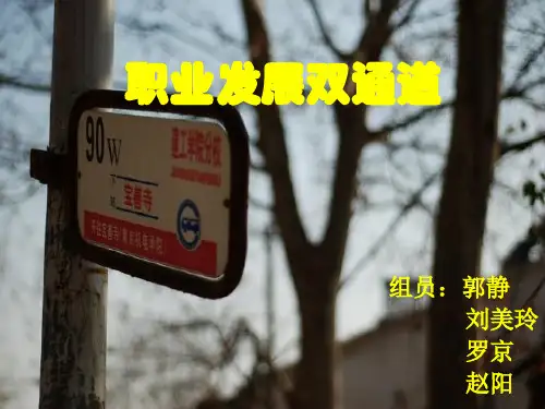 职业发展双通道
