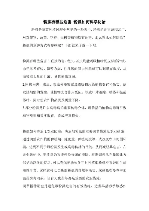 粉虱有哪些危害 粉虱如何科学防治