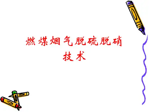 脱硫脱硝技术ppt