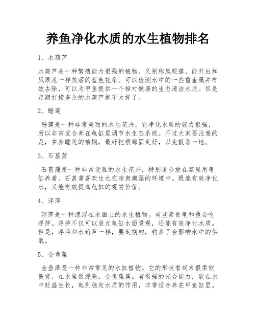 养鱼净化水质的水生植物排名