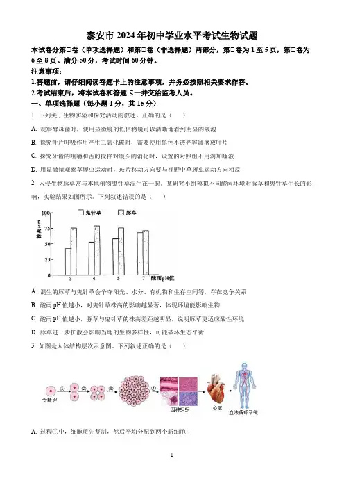 2024年山东省泰安市中考生物真题(含答案)