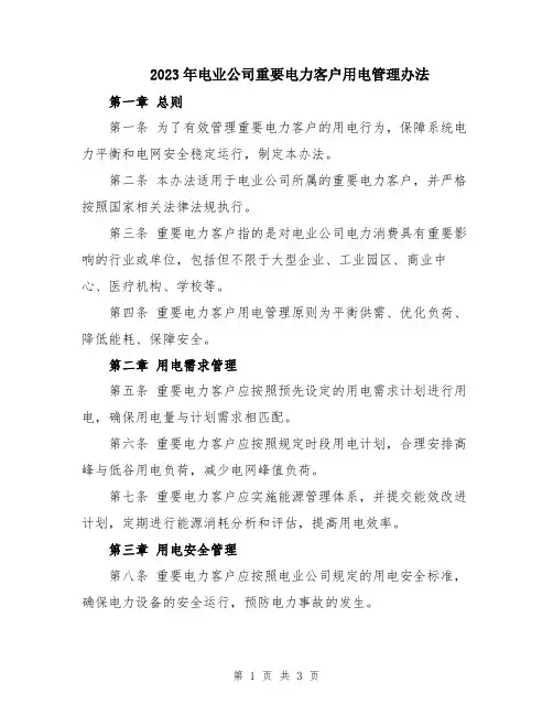 2023年电业公司重要电力客户用电管理办法