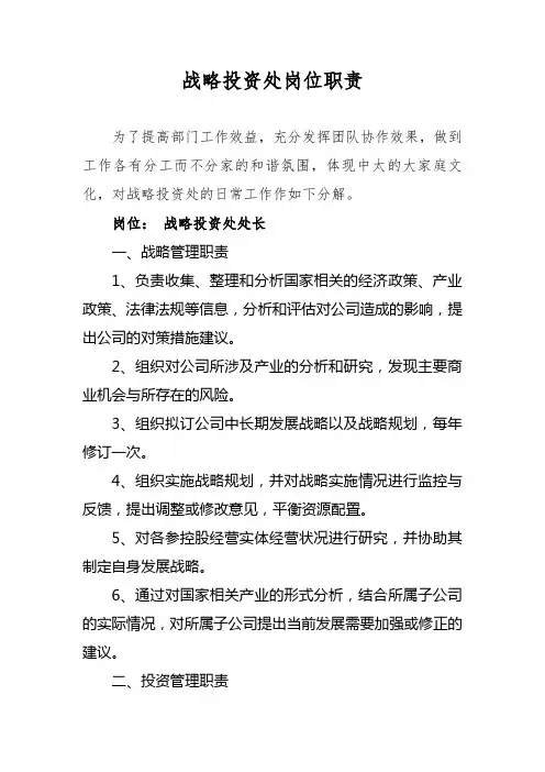 战略投资处职责要求06.27