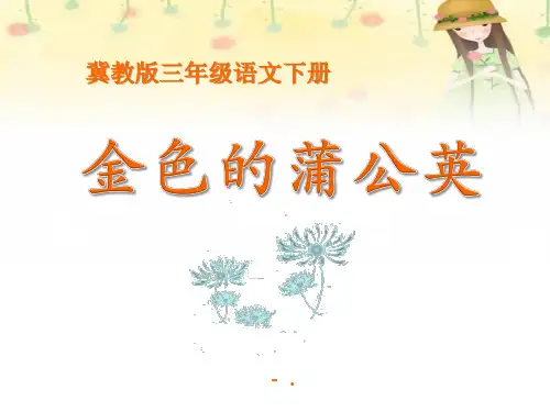 《金色的蒲公英》PPT课件