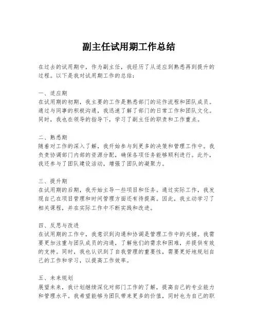 副主任试用期工作总结