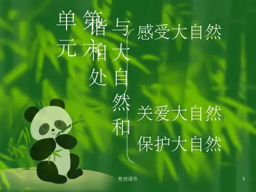 《与大自然和谐相处》PPT课件