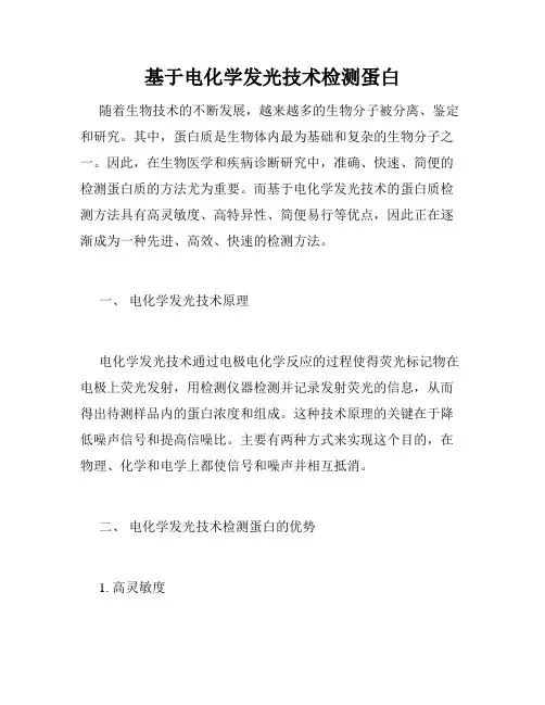基于电化学发光技术检测蛋白