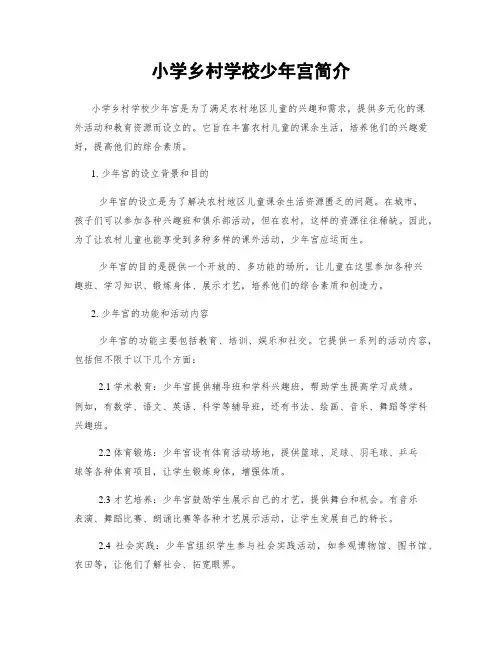 小学乡村学校少年宫简介