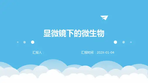显微镜下的微生物
