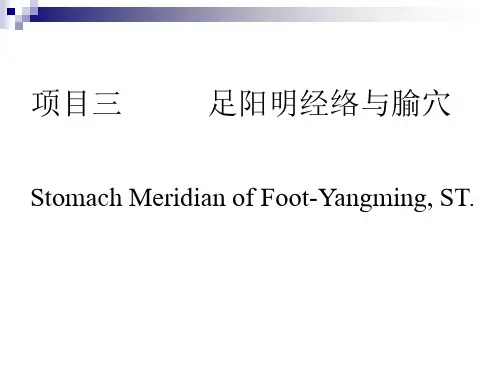 经络学-足阳明胃经