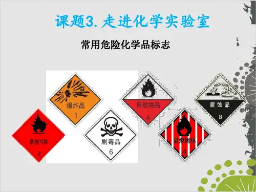 人教版九年级上册 第一单元 课题3 走进化学实验室 课件