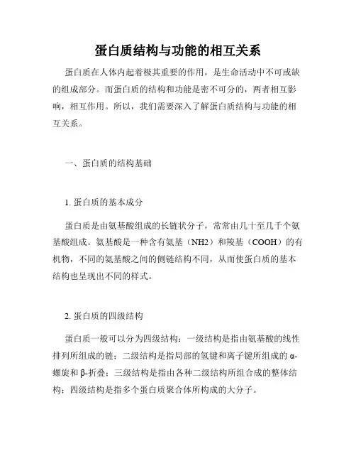 蛋白质结构与功能的相互关系