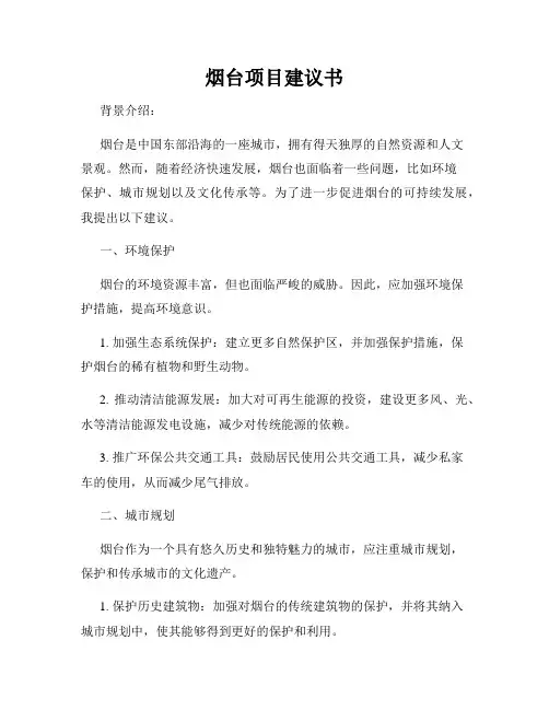 烟台项目建议书