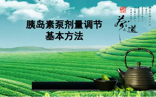 胰岛素泵剂量调节(全)讲课讲稿