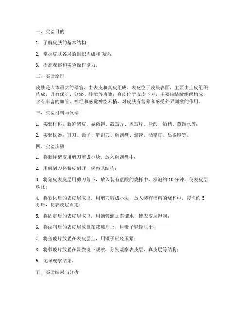 皮肤结构分析实验报告
