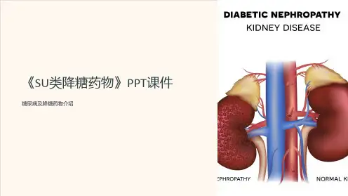 《SU类降糖药物》课件