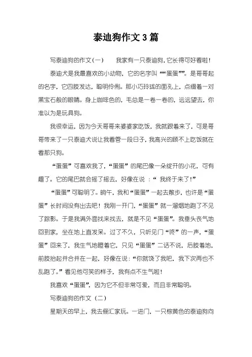 泰迪狗作文3篇