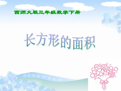 《长方形的面积》长方形和正方形的面积PPT课件 (共14张PPT)