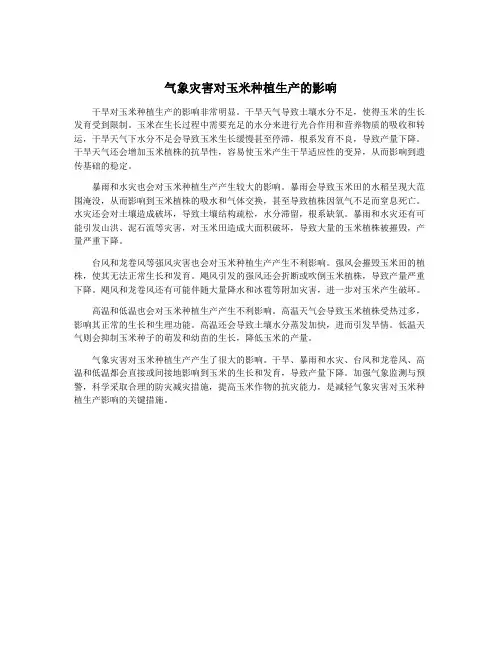 气象灾害对玉米种植生产的影响