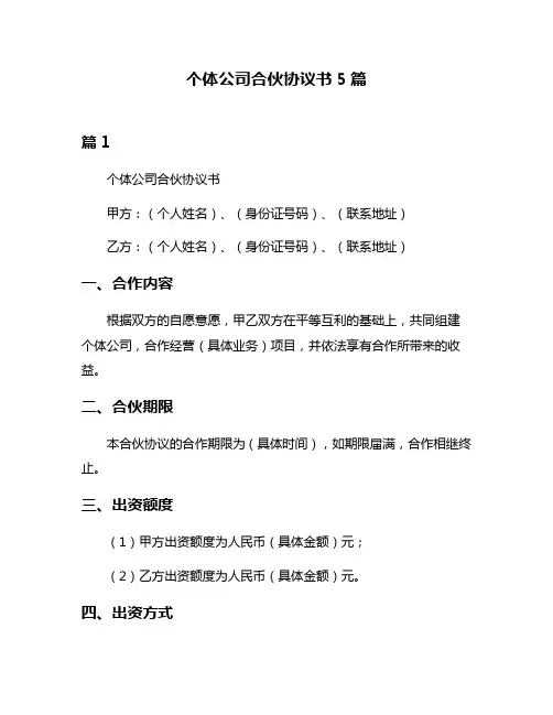个体公司合伙协议书5篇