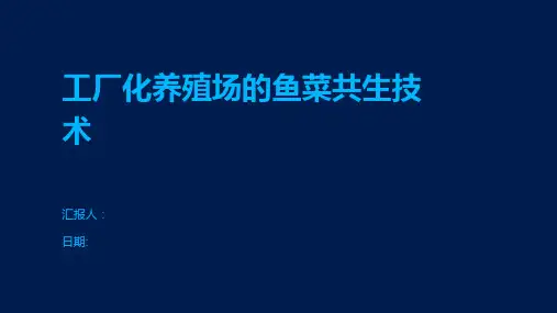 工厂化养殖场的鱼菜共生技术