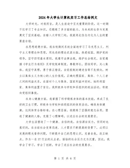 2024年大学生计算机实习工作总结例文（四篇）