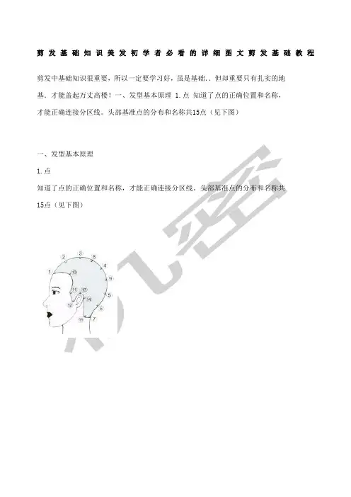 剪发基础知识