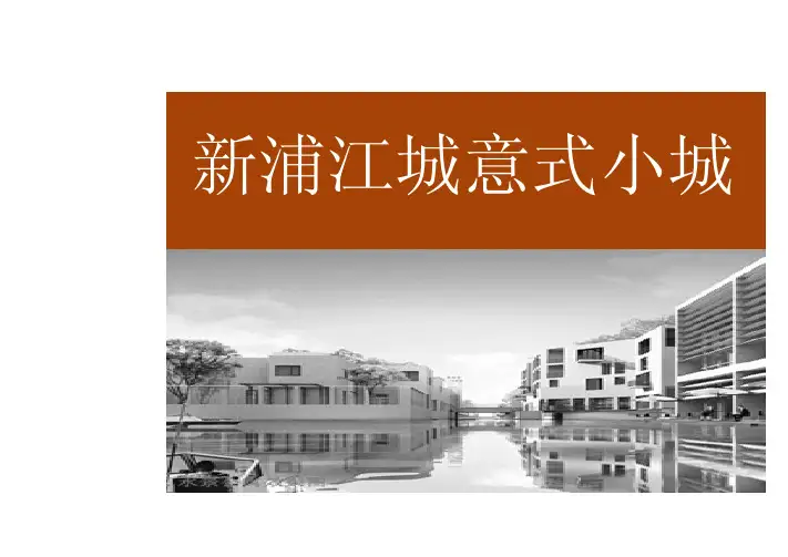 意大利 小镇 浦江新城 上海 一城九镇 欧洲小镇 研究