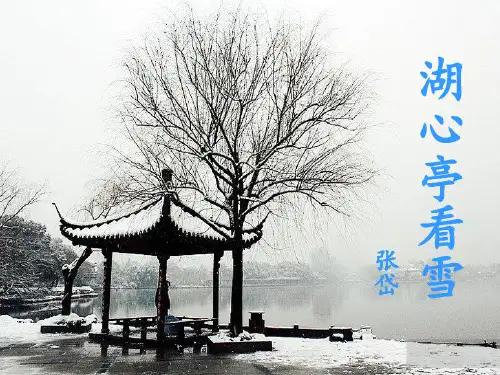 全国语文优质课说课比赛一等奖《湖心亭看雪》精品课件