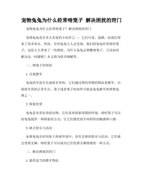宠物兔兔为什么经常啃笼子  解决困扰的窍门