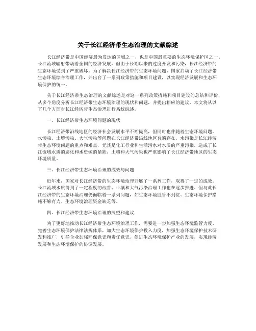 关于长江经济带生态治理的文献综述