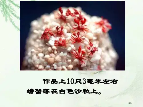 核舟记公开课优秀教案省公开课一等奖全国示范课微课金奖PPT课件