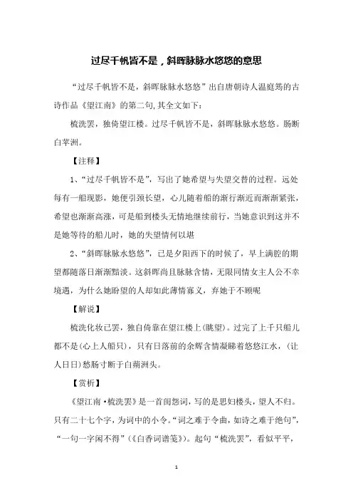 过尽千帆皆不是,斜晖脉脉水悠悠的意思
