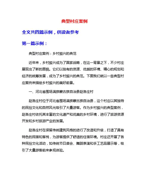 典型村庄案例