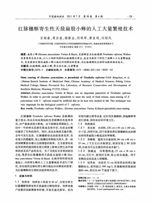 红脉穗螟寄生性天敌扁股小蜂的人工大量繁殖技术