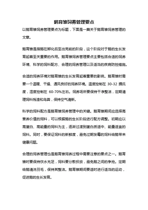 鹅育雏饲养管理要点