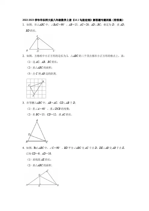 2022-2023学年华东师大版八年级数学上册《14-1勾股定理》解答题专题训练(附答案)