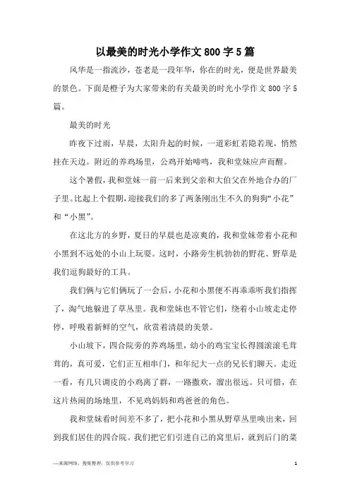 以最美的时光小学作文800字5篇