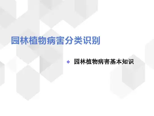园林植物病害基本知识(病害分类识别)