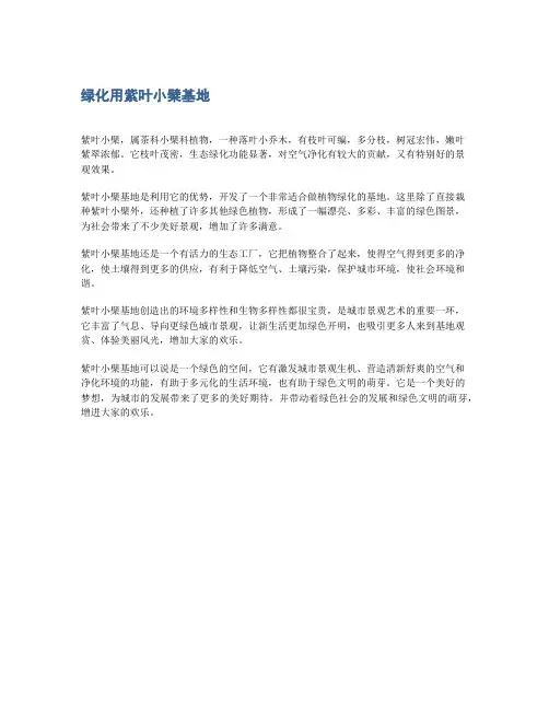 绿化用紫叶小檗基地